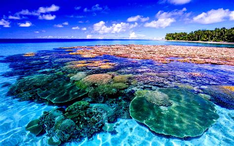 Majuro – Travel guide at Wikivoyage.